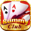 new launch rummy app icon