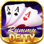 rummy win login logo