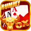 culture rummy icon